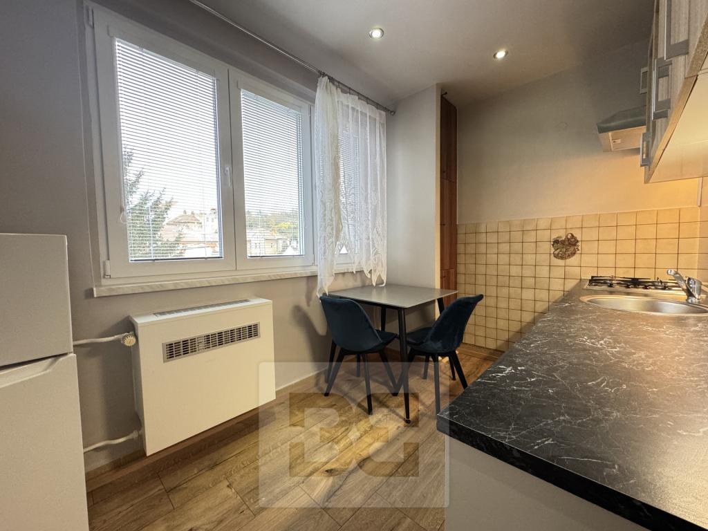 Pronájem bytu 1+1 43 m2