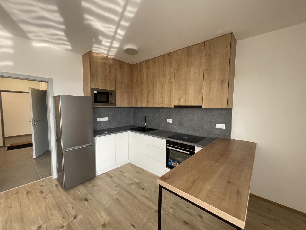 Pronájem bytu 1+kk 40 m2