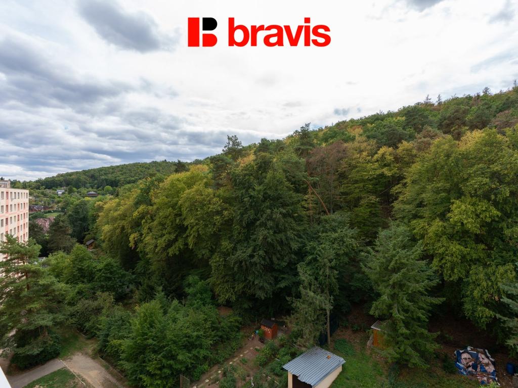 Pronájem bytu 2+1 58 m2, Brno – náhled fotky 12