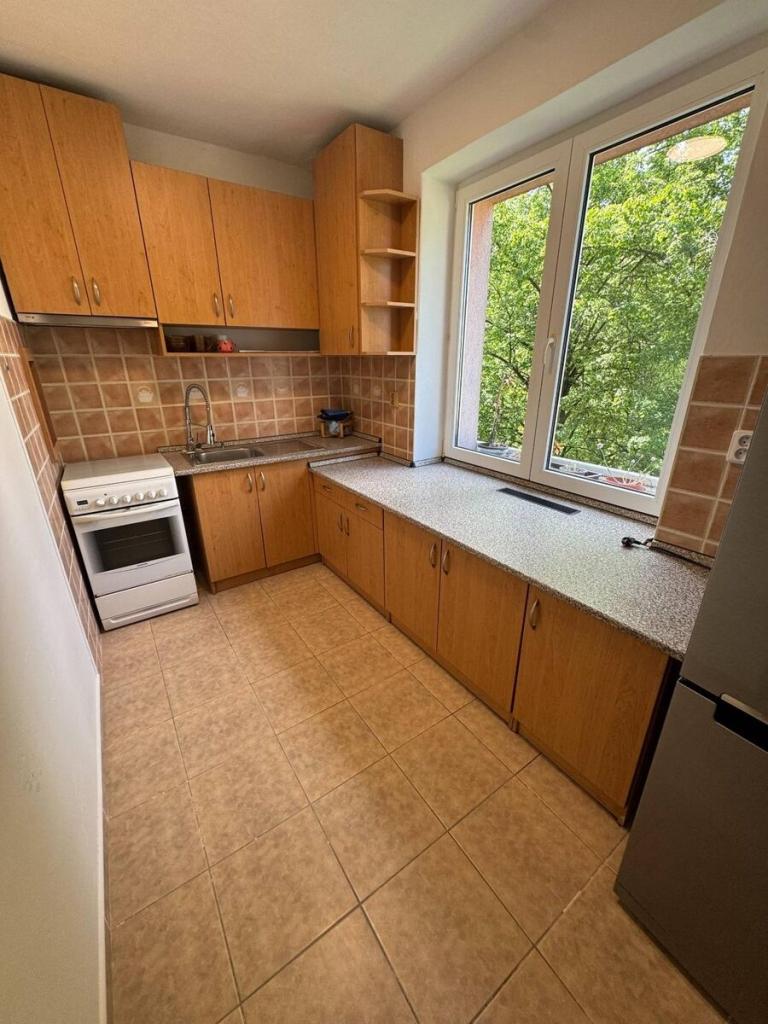 Pronájem bytu 2+1 53 m2