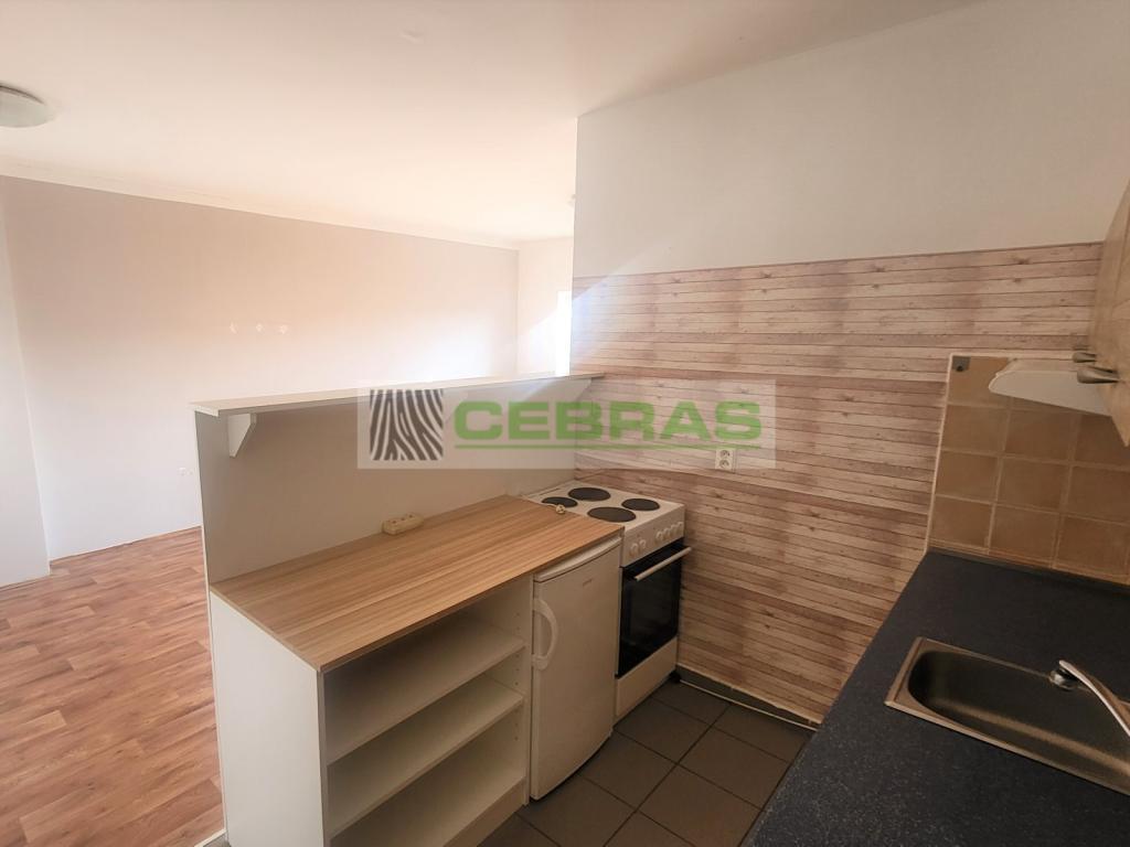 Pronájem bytu 1+kk 50 m2