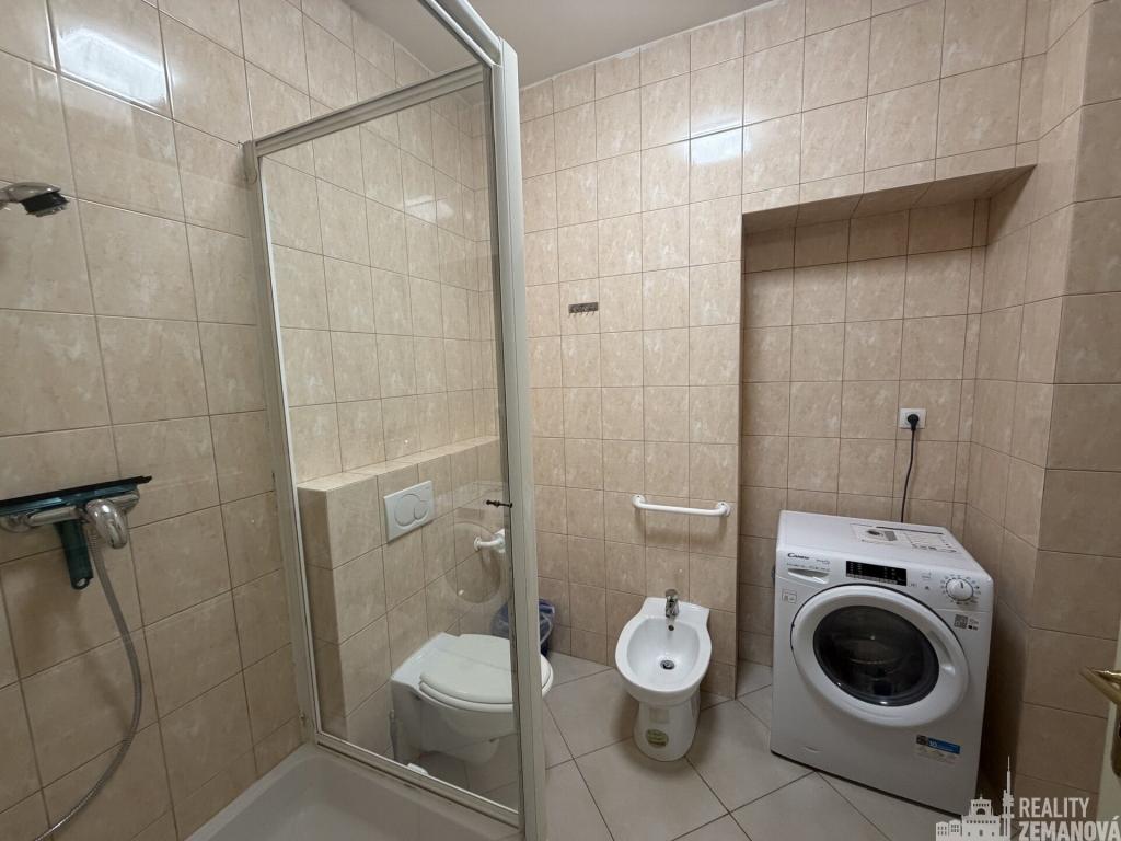 Pronájem bytu 1+kk 41 m2