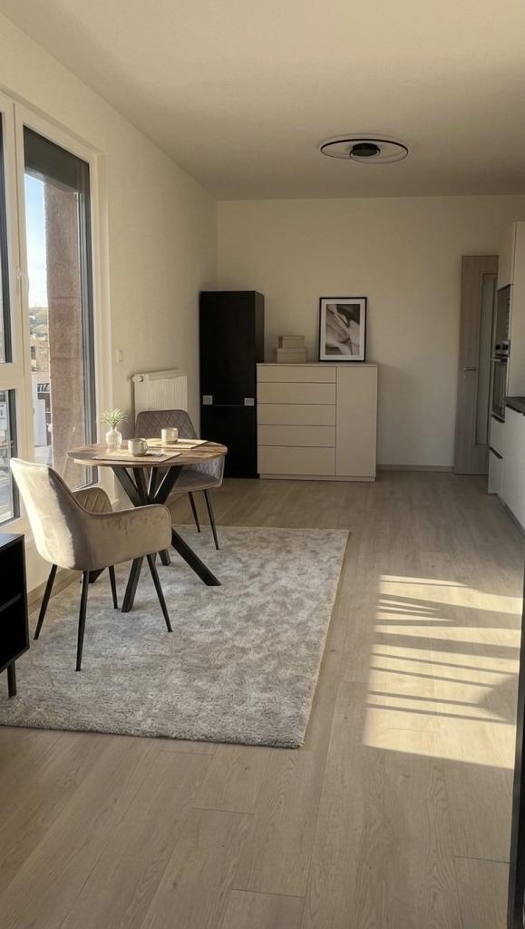 Pronájem bytu 1+kk 40 m2
