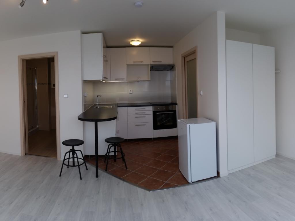 Pronajem bytu 1+kk 42 m2