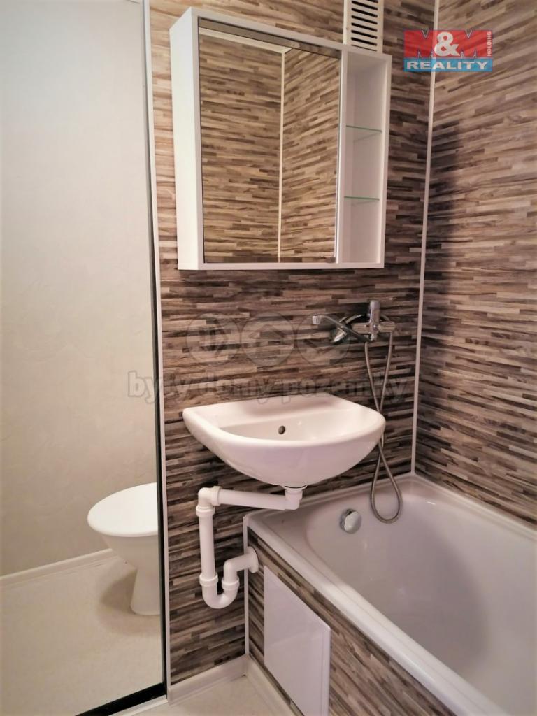 Pronajem bytu 1+kk 21 m2