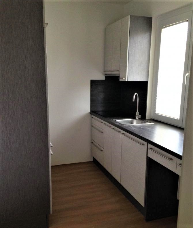 Pronajem bytu 3+1 59 m2