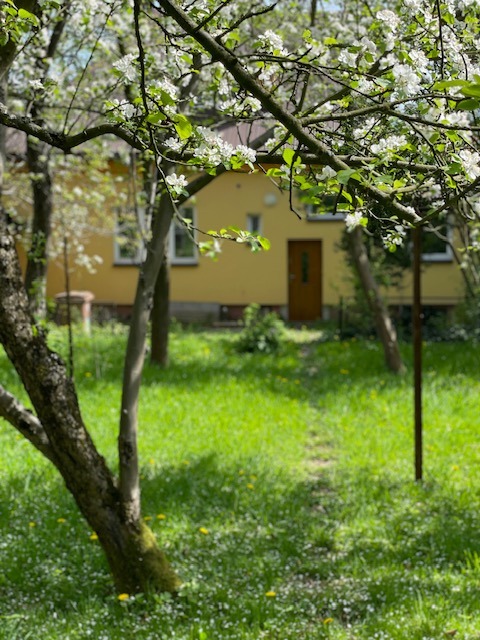Pronájem bytu 2+1 90 m2, Frýdek-Místek – náhled fotky 15