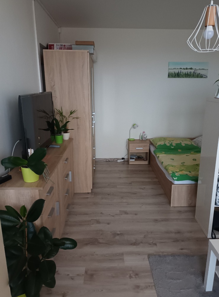 Pronajem bytu 1+1 40 m2