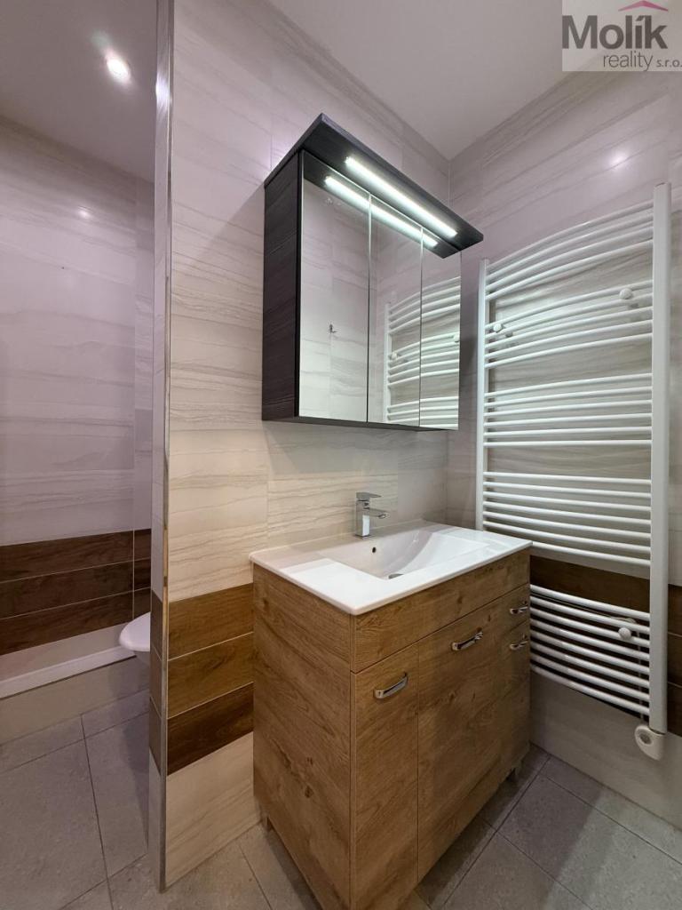 Pronájem bytu 1+kk 38 m2, Teplice – náhled fotky 7
