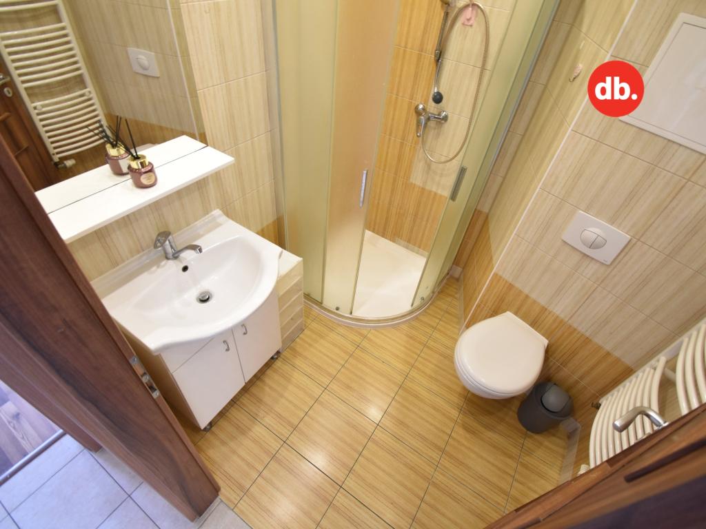 Prodej bytu 1+1 35 m2, Karlovy Vary – náhled fotky 8