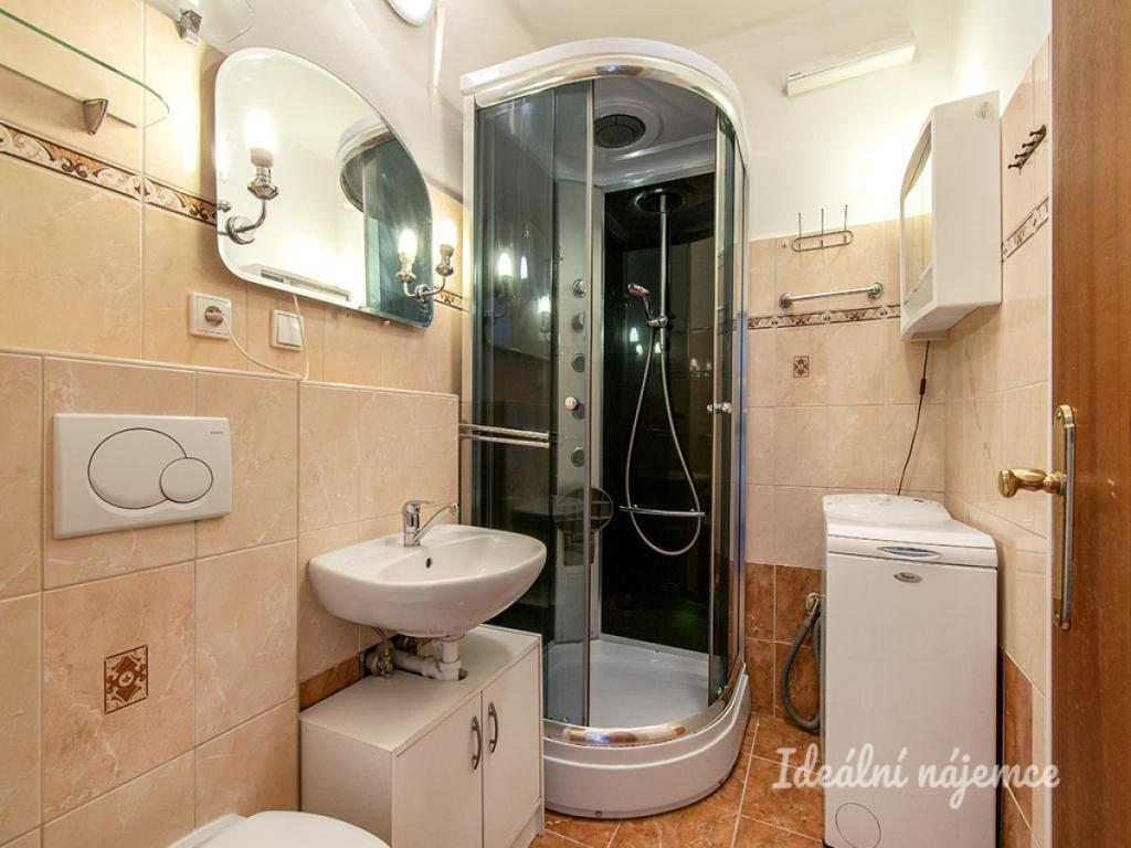 Pronájem bytu 1+kk 45 m2