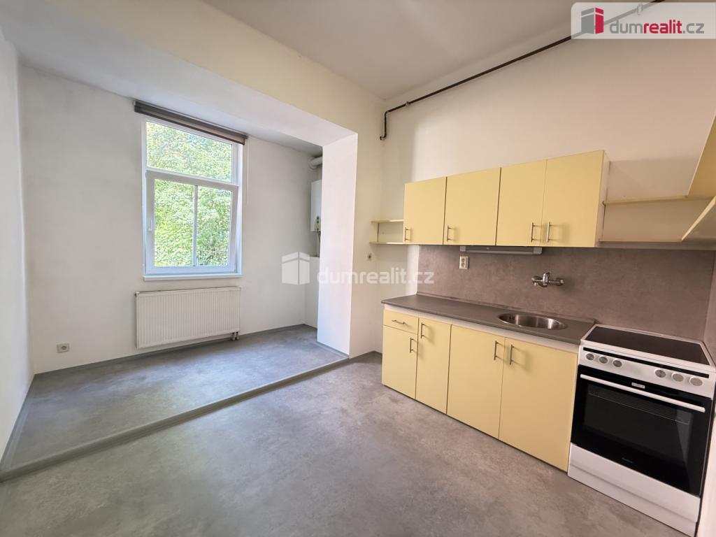 Pronájem bytu 1+1 45 m2