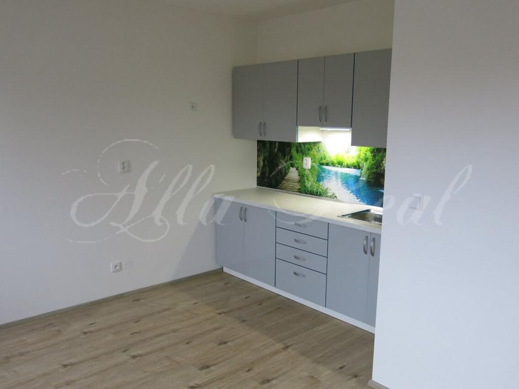 Pronájem bytu 1+kk 32 m2