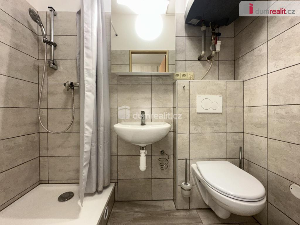 Pronájem bytu 1+1 30 m2