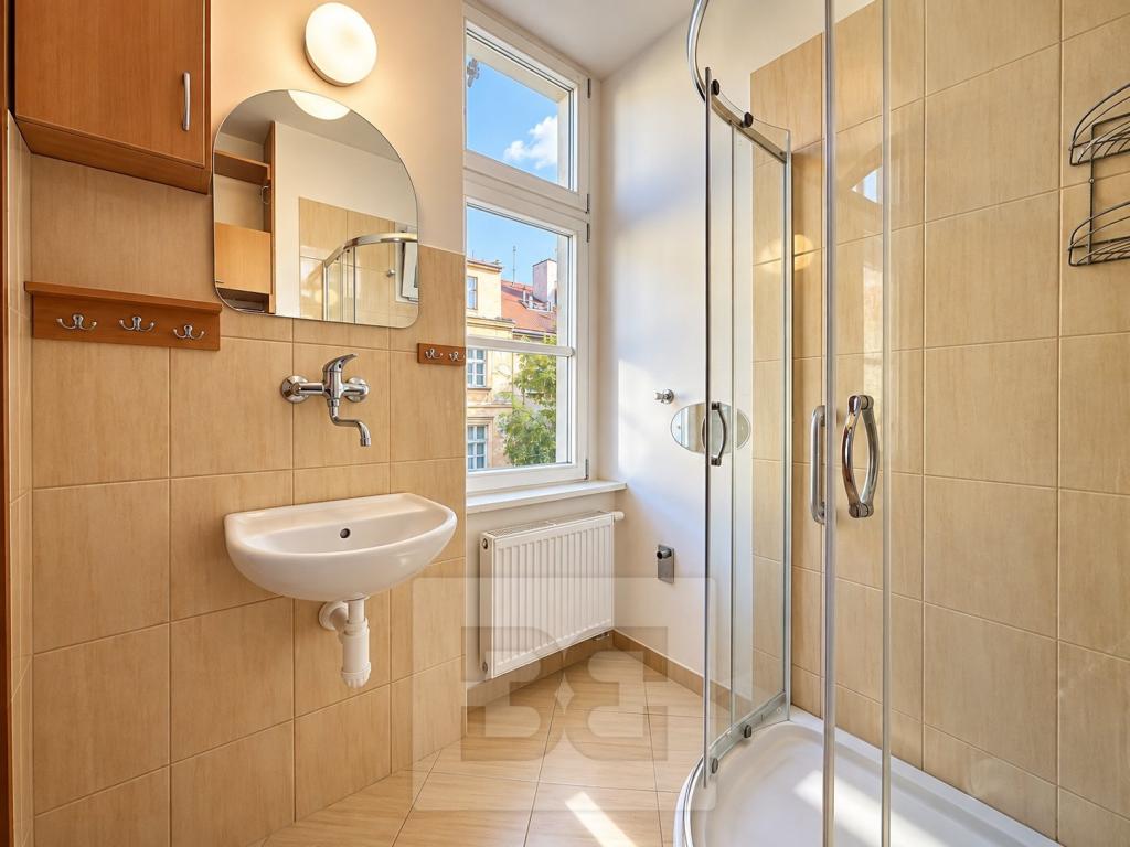 Pronájem bytu 1+1 38 m2