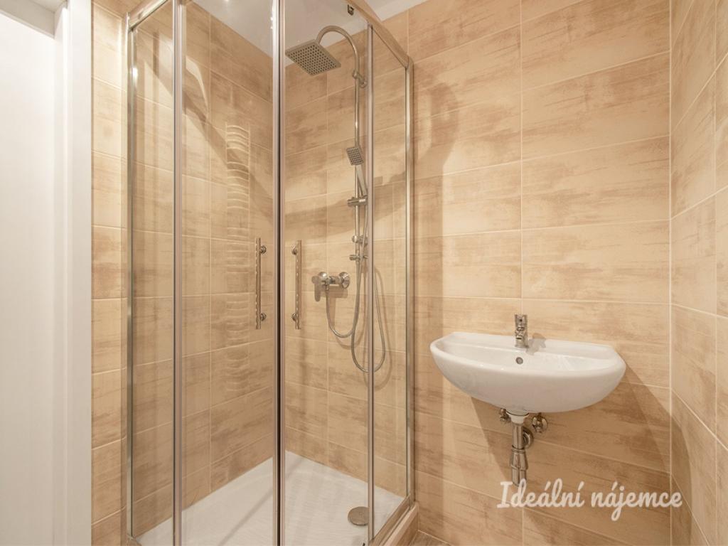 2+kk Apartment in Praha, Žižkov - More