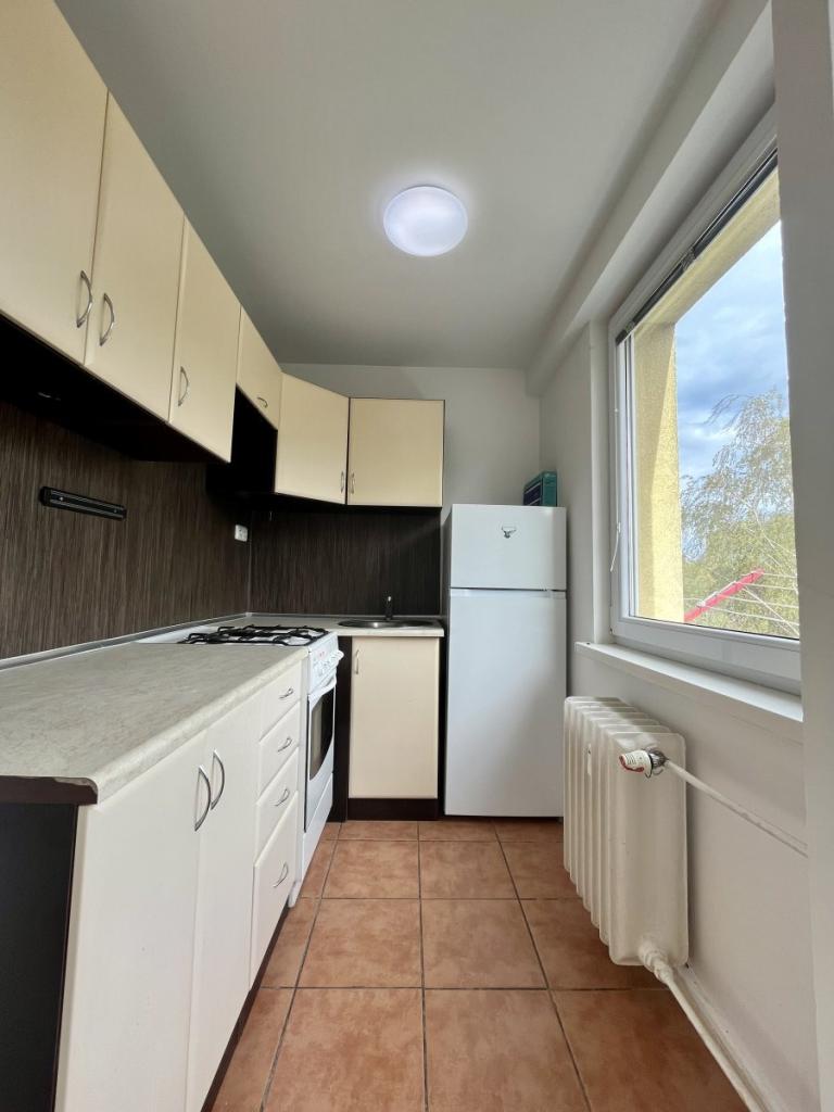 Pronájem bytu 1+1 30 m2
