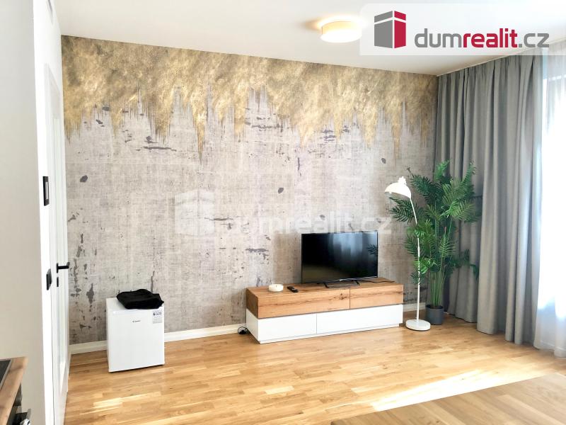 Pronájem bytu 1+kk 31 m² – pohled 2