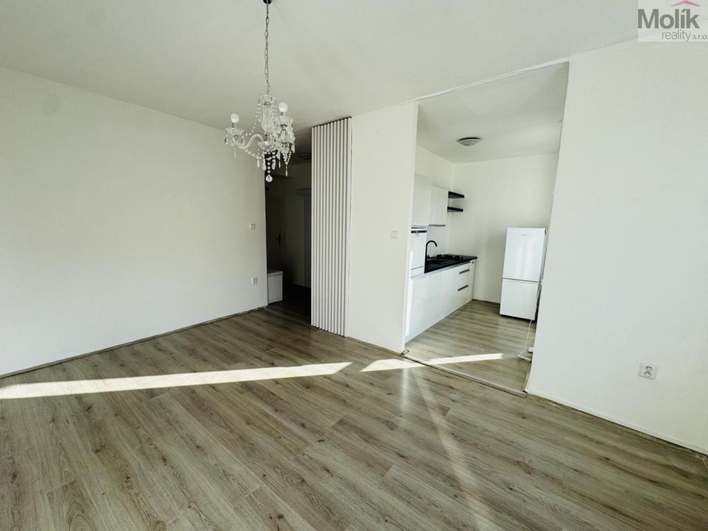 Pronájem bytu 1+1 30 m2
