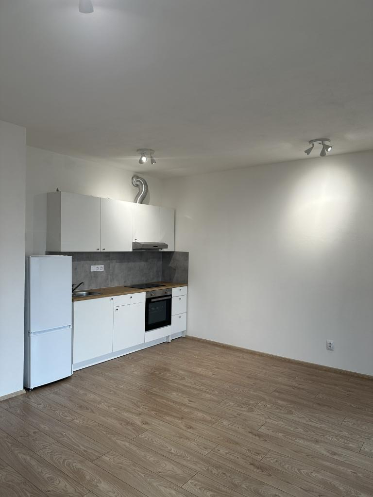 Pronájem bytu 1+kk 51 m2