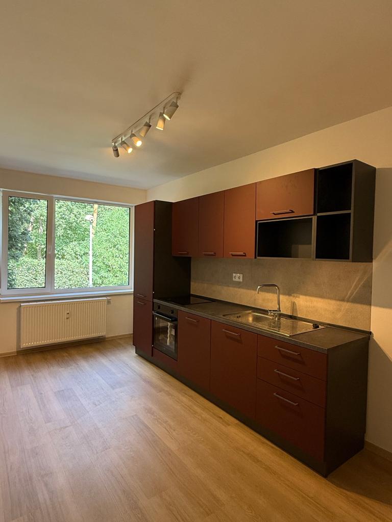 Pronájem bytu 3+kk 70 m2