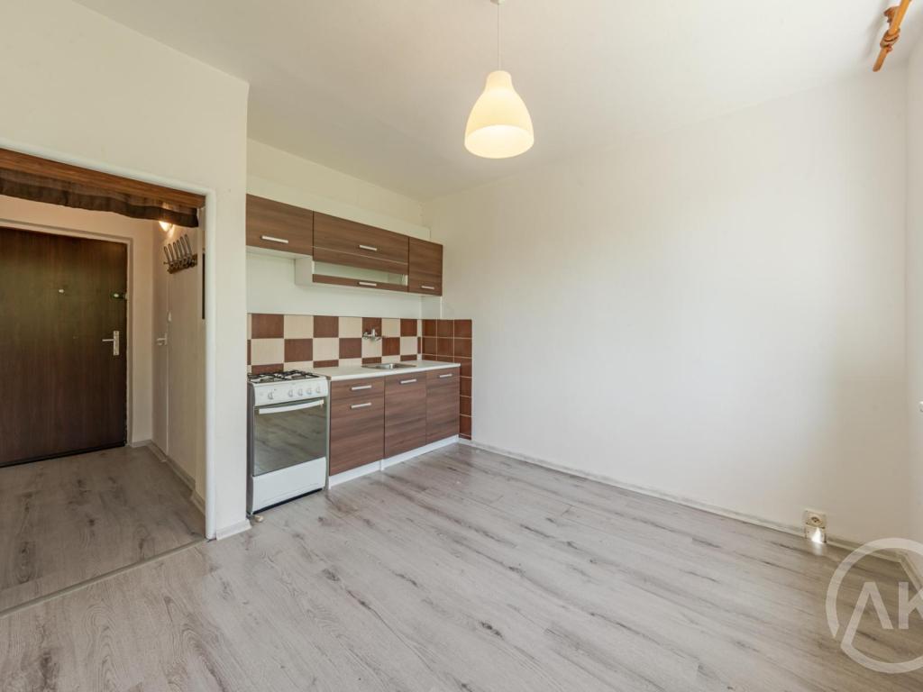 Pronájem bytu 1+1 37 m2