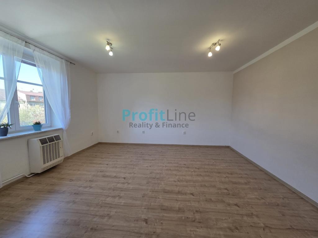 Pronájem bytu 1+1 40 m2