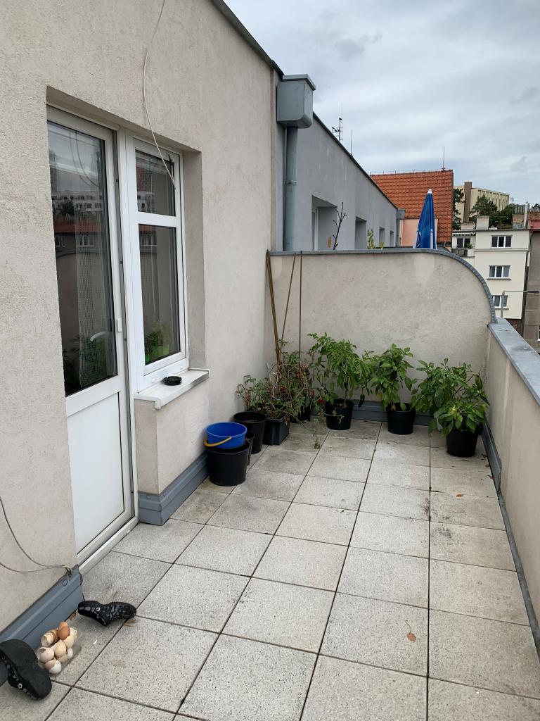 Pronajem bytu 2+kk 59 m2