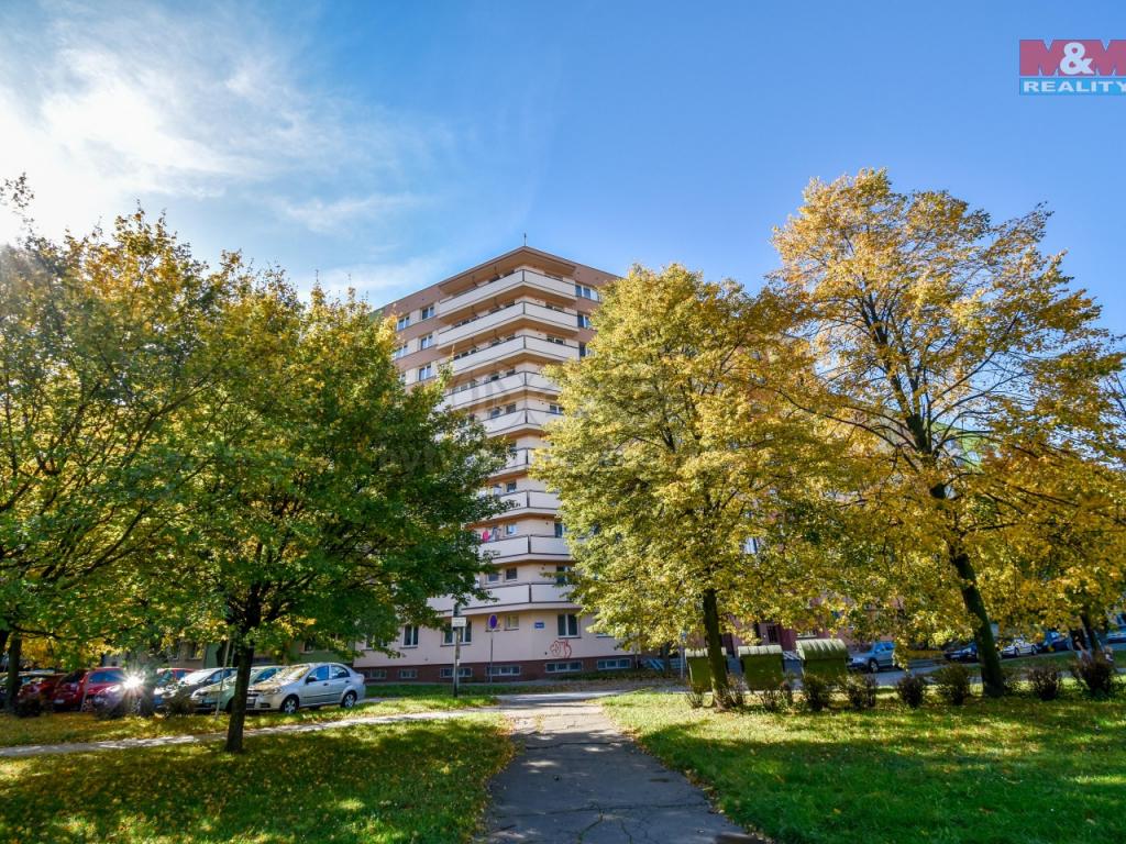 Pronajem bytu 2+1 46 m2