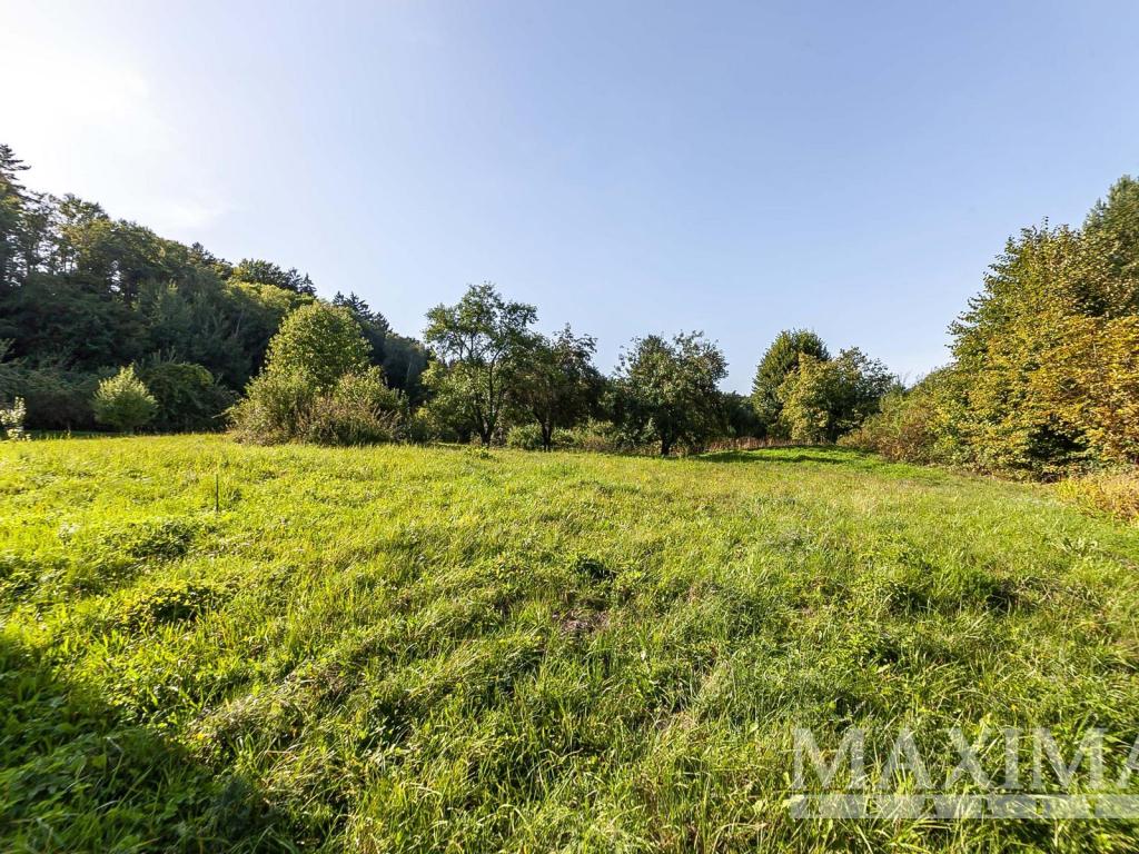 Prodej pozemku 3738 m2, Hrubá Skála – náhled fotky 5