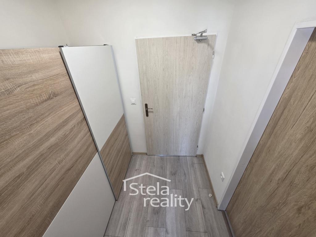 Pronájem bytu 1+kk 45 m2