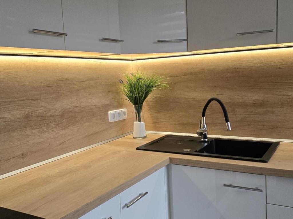 Pronájem bytu 3+1 53 m2