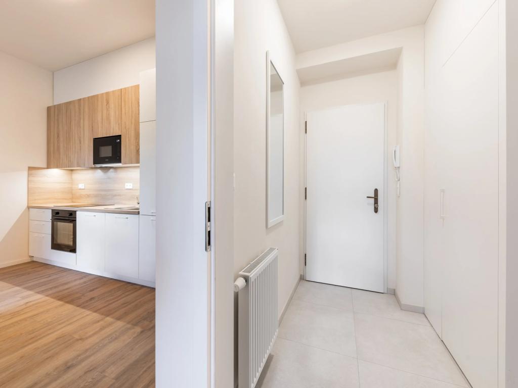 Pronájem bytu 1+kk 36 m2