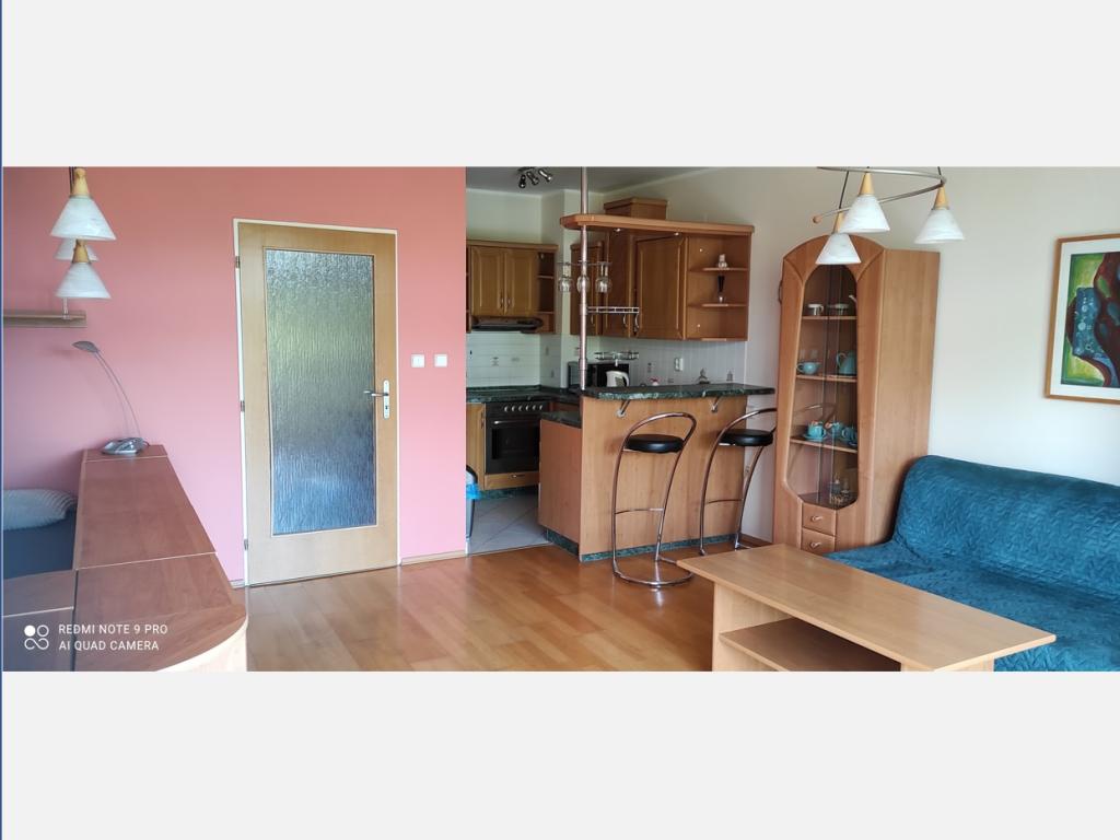 Pronajem bytu 1+kk 44 m2