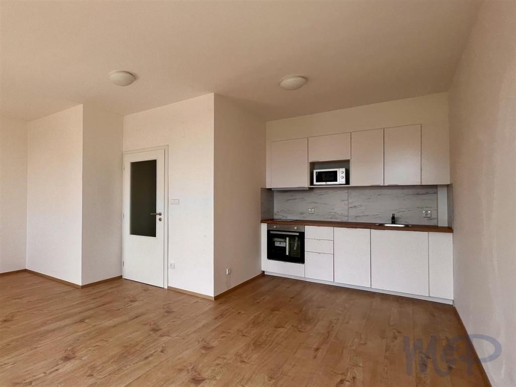 Pronájem bytu 1+kk 45 m2