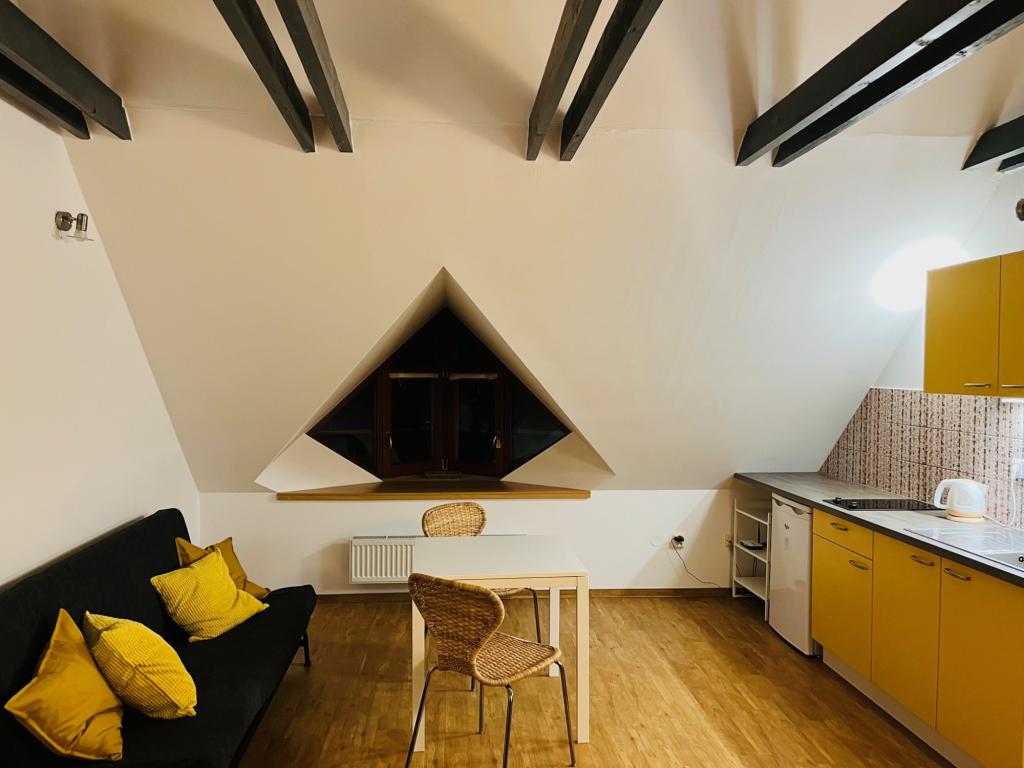 Pronajem bytu 1+kk 32 m2