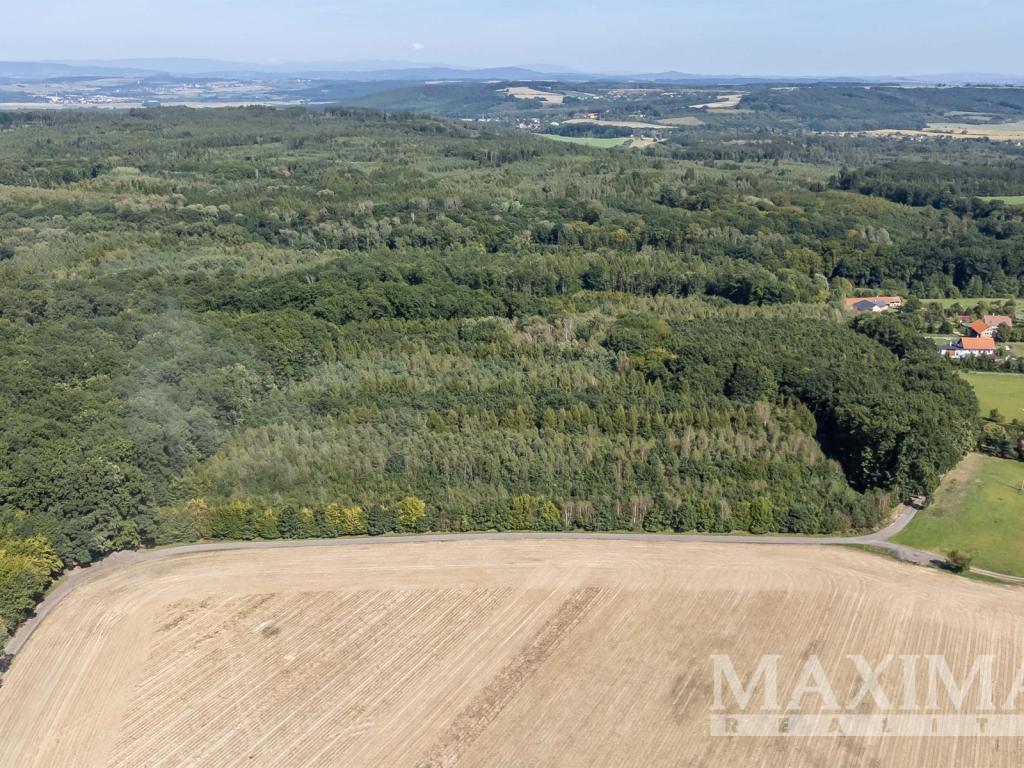 Prodej pozemku 3636 m2, Lhotky – náhled fotky 11
