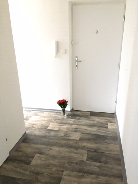 Pronájem bytu 2+1 54 m2