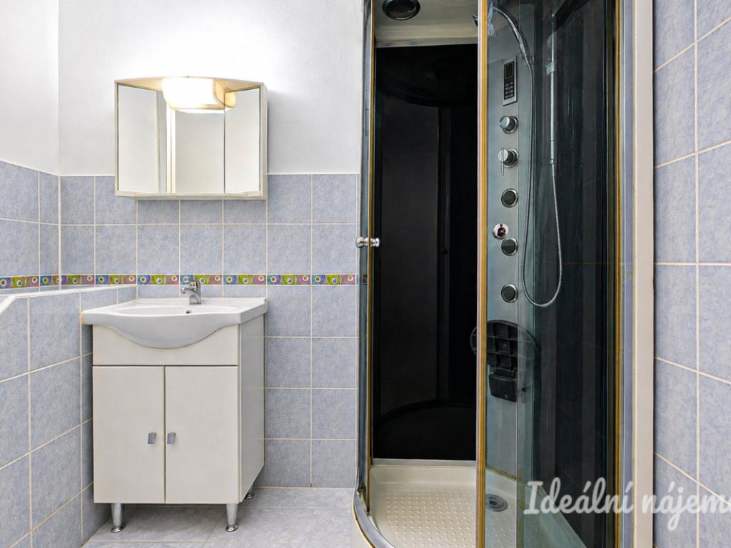 Pronájem bytu 1+1 35 m2