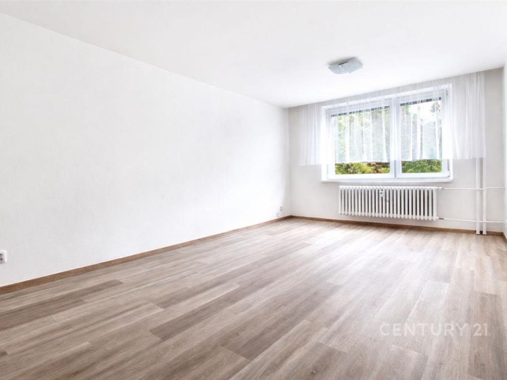 Pronájem bytu 1+1 41 m2