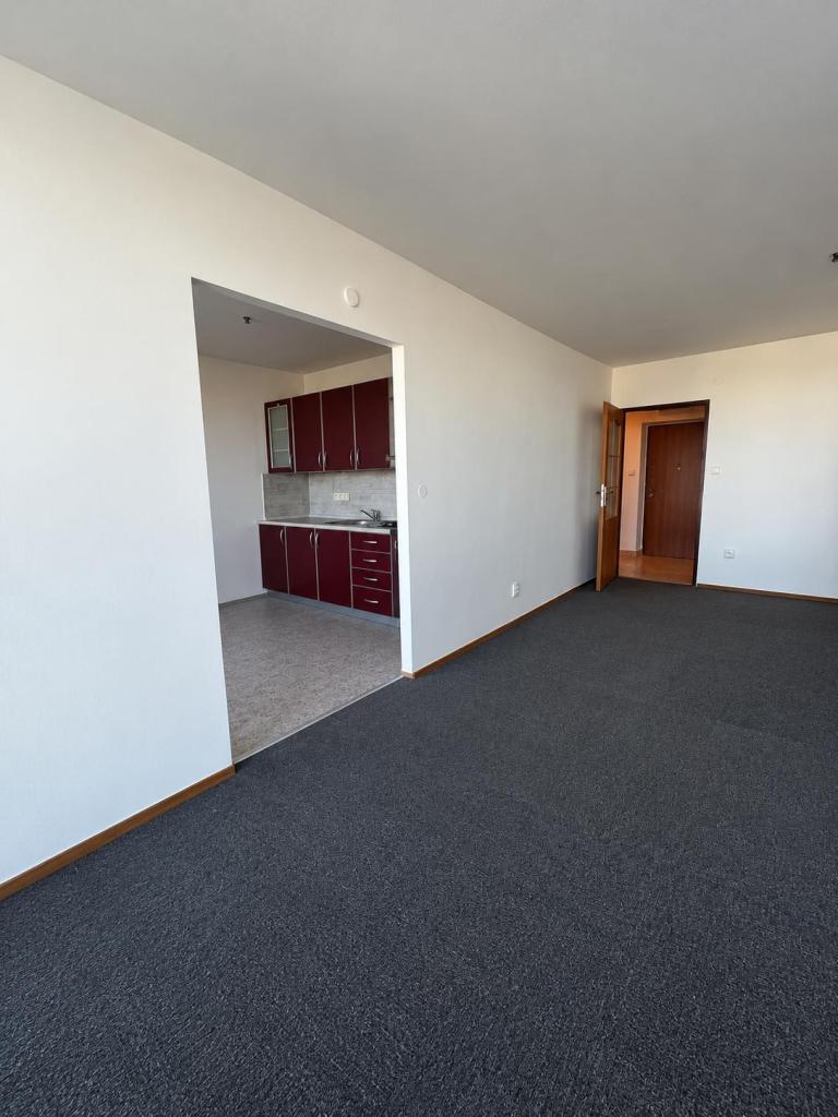 Pronájem bytu 1+1 43 m2