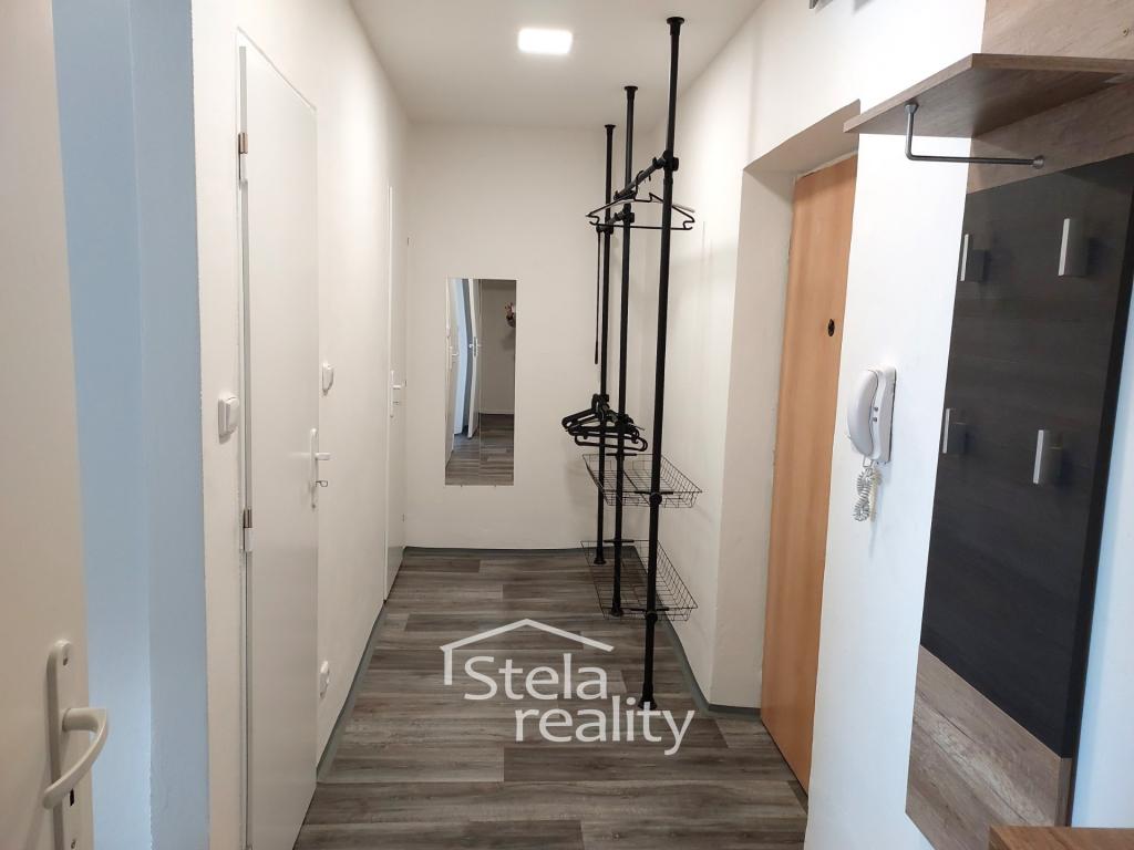 Pronájem bytu 1+1 42 m2