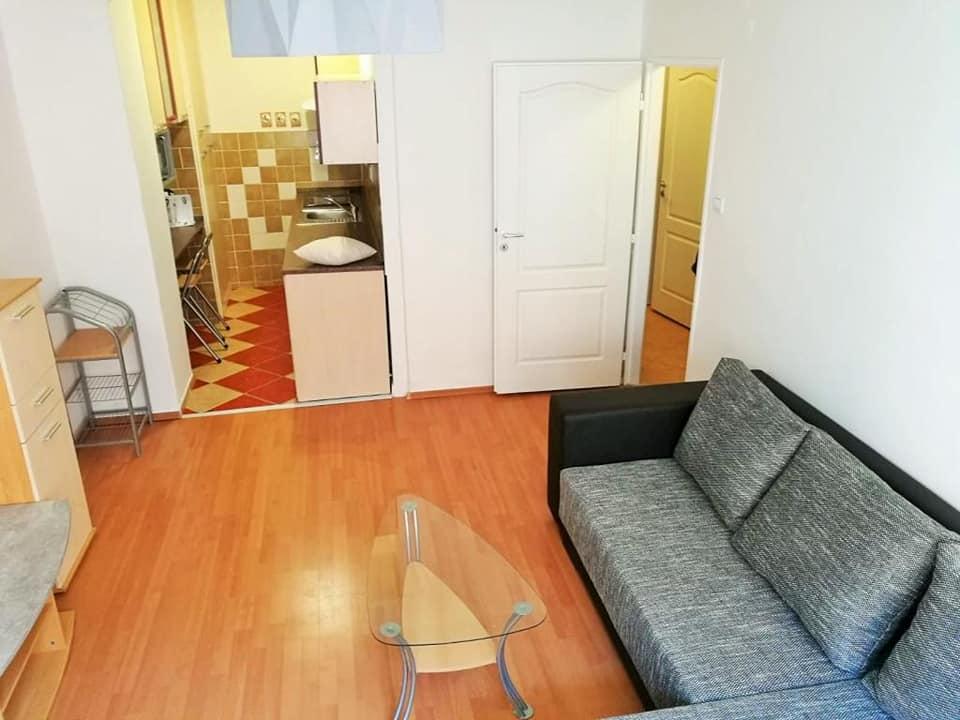 Pronajem bytu 1+kk 33 m2