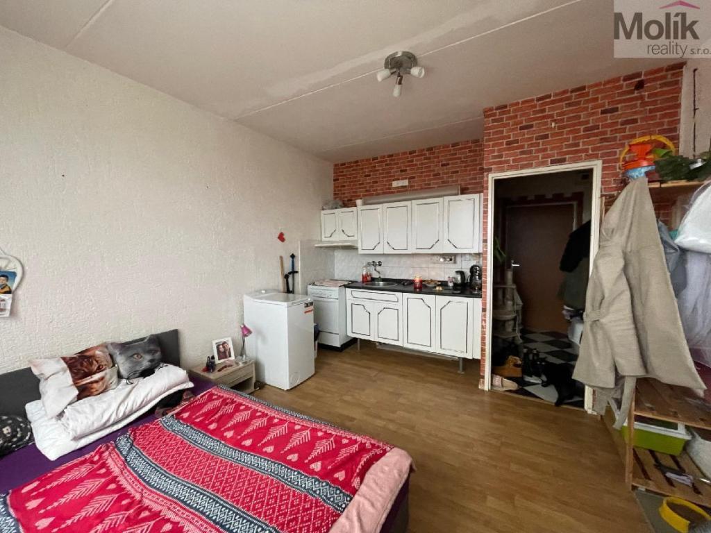 Pronájem bytu 1+1 33 m²