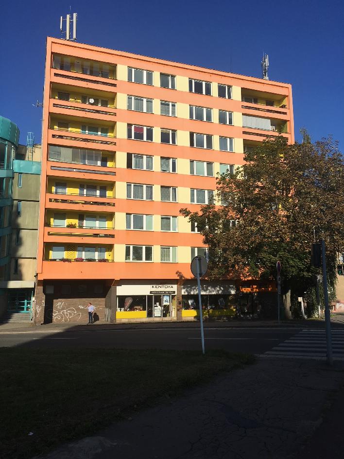 Pronajem bytu 2+1 54 m2