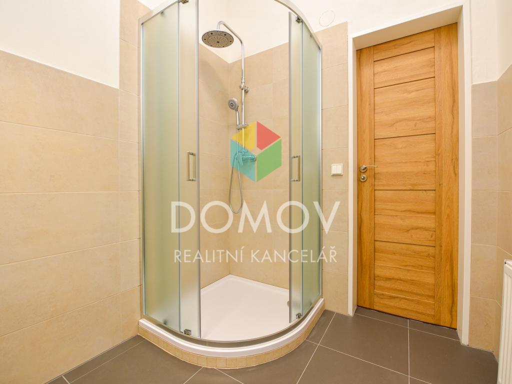 Pronájem bytu 1+1 40 m2