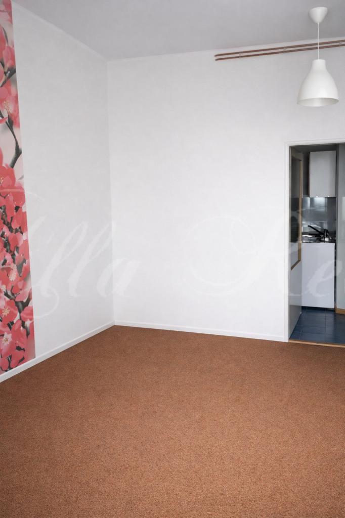 Pronájem bytu 1+1 35 m2
