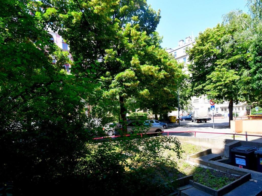 Pronájem bytu 1+kk 35 m2
