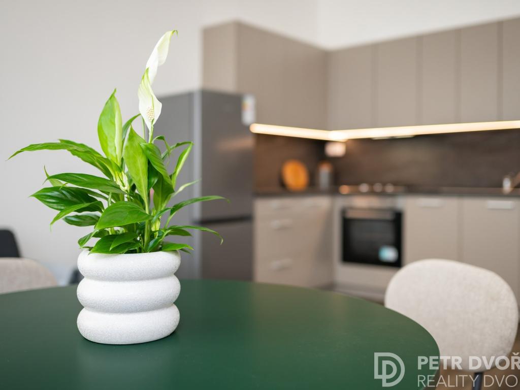 3+kk Apartment in Praha, Karlín - More