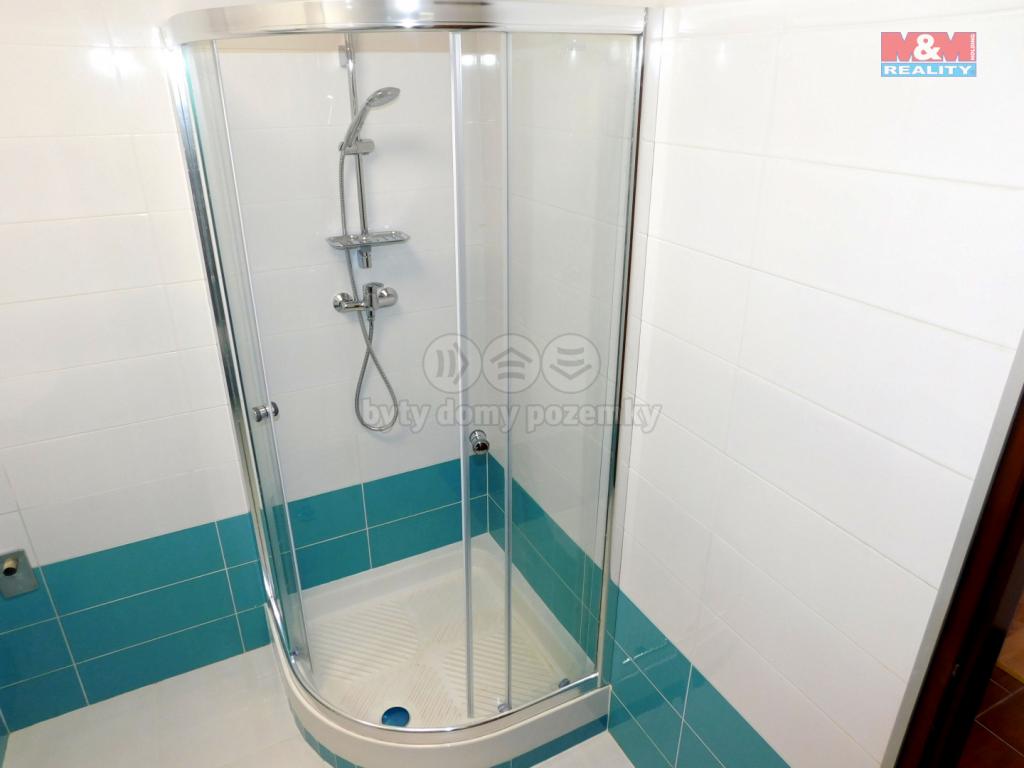 Pronajem bytu 2+1 65 m2
